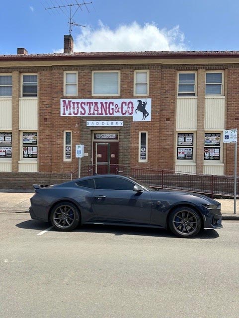 Waynes 2024 Mustang Darkhorse