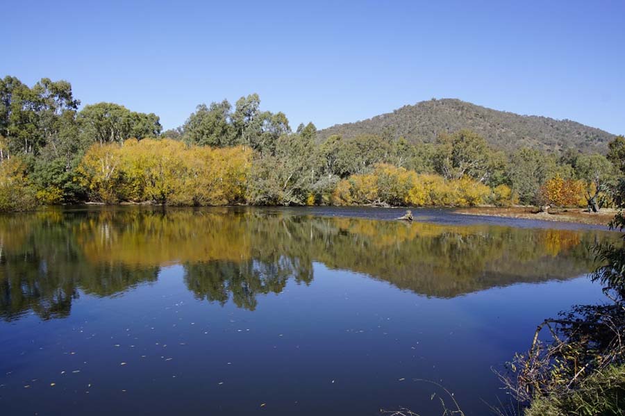 AMCCA Muscle Cars on the Murray 2019 (34) (800x533)