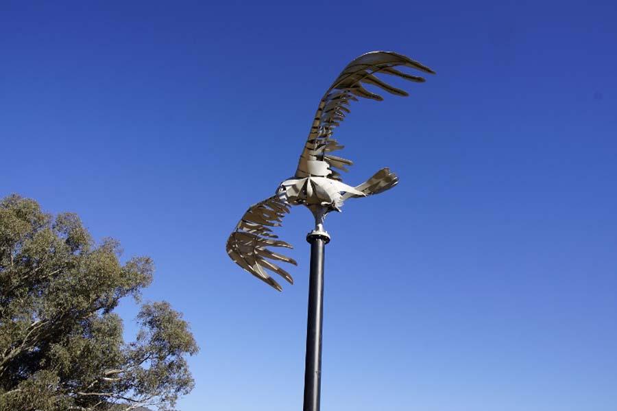 AMCCA Muscle Cars on the Murray 2019 (72) (800x533)