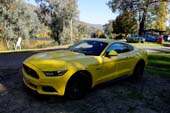 AMCCA Muscle Cars on the Murray 2019 (64) (800x533)